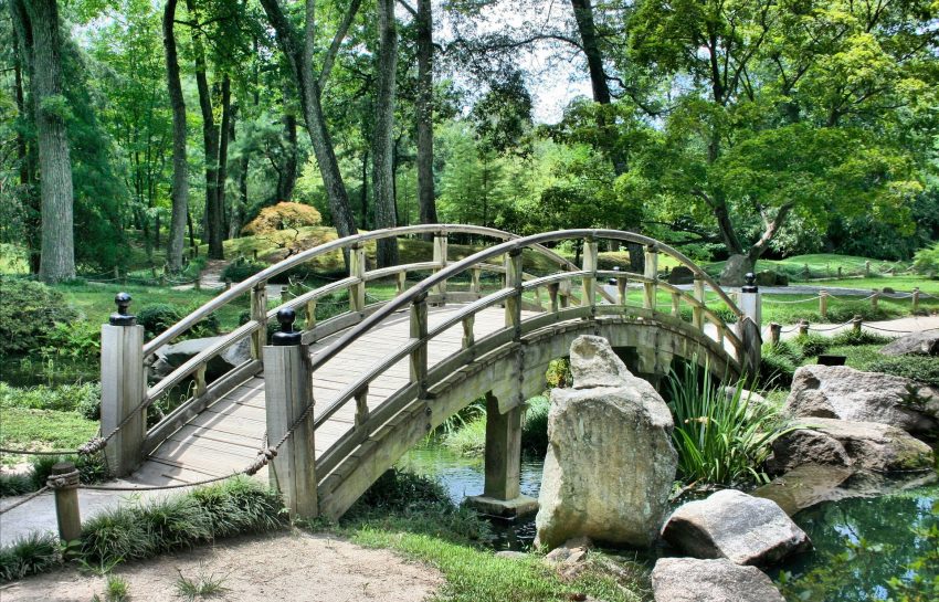 Hoe maak je een tuin die het hele jaar door aantrekkelijk blijft